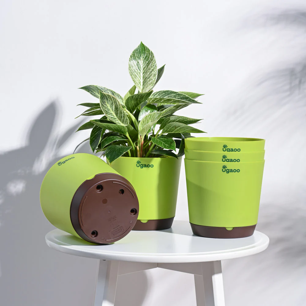 Product image 79