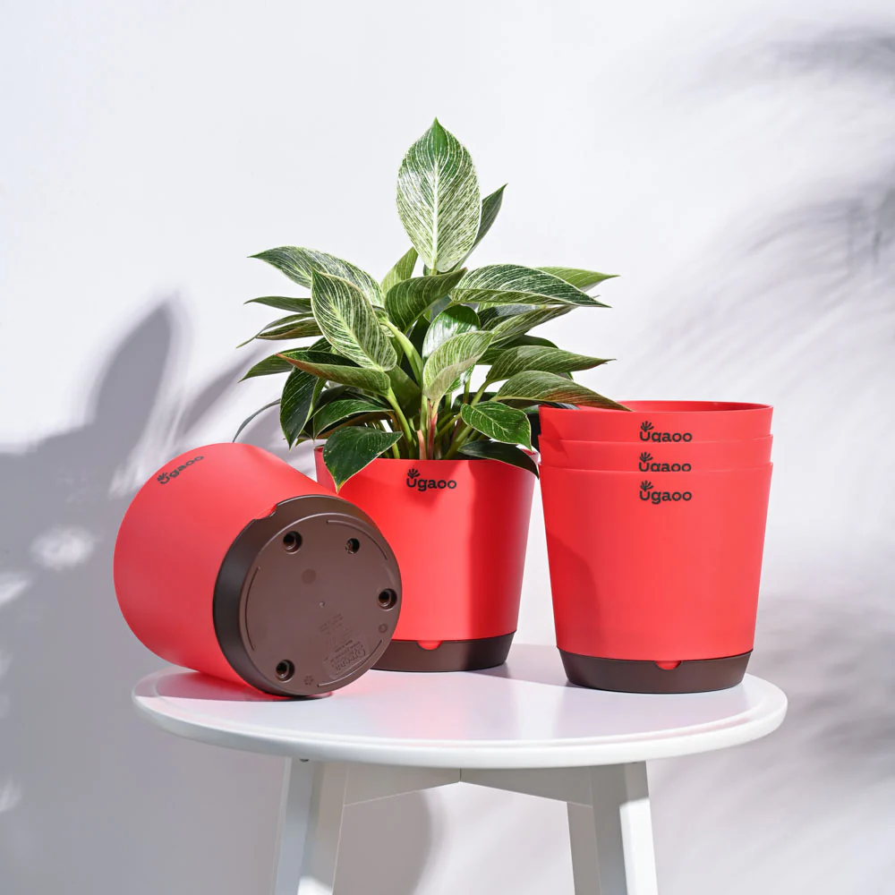 Product image 87