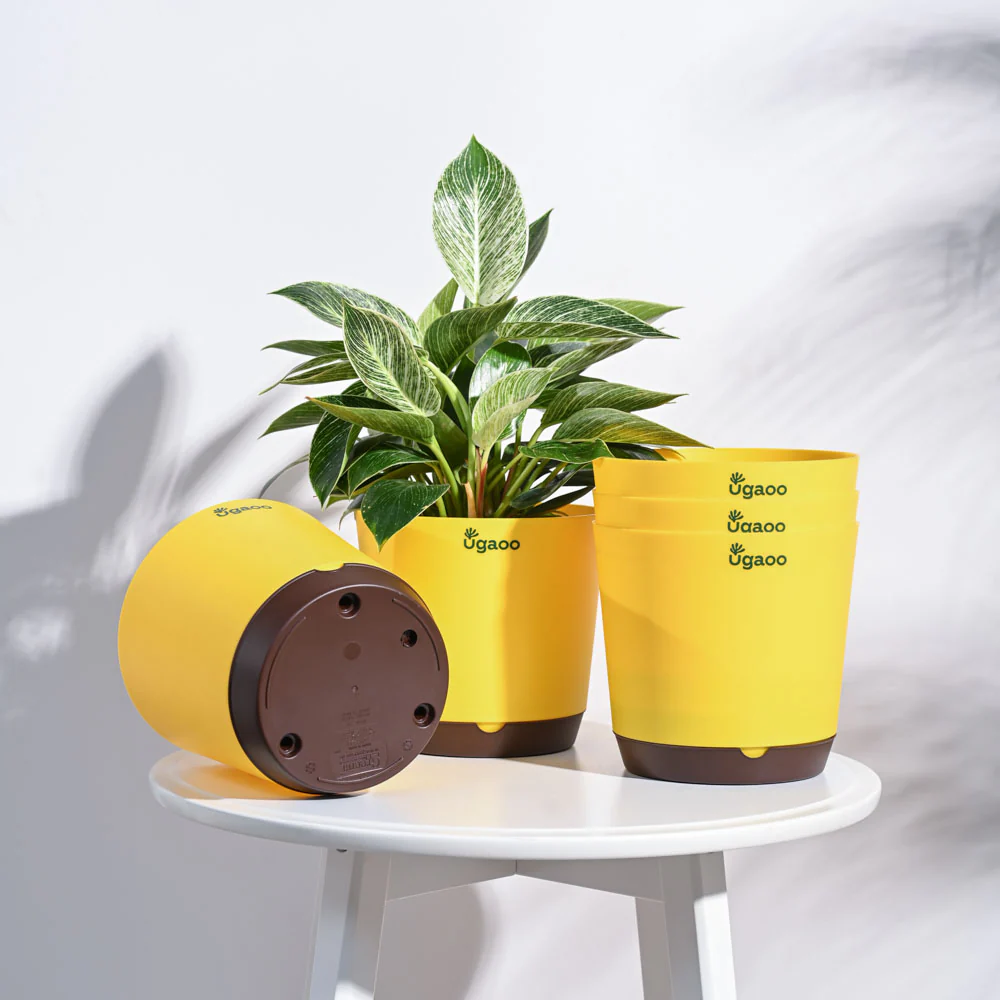 Product image 95