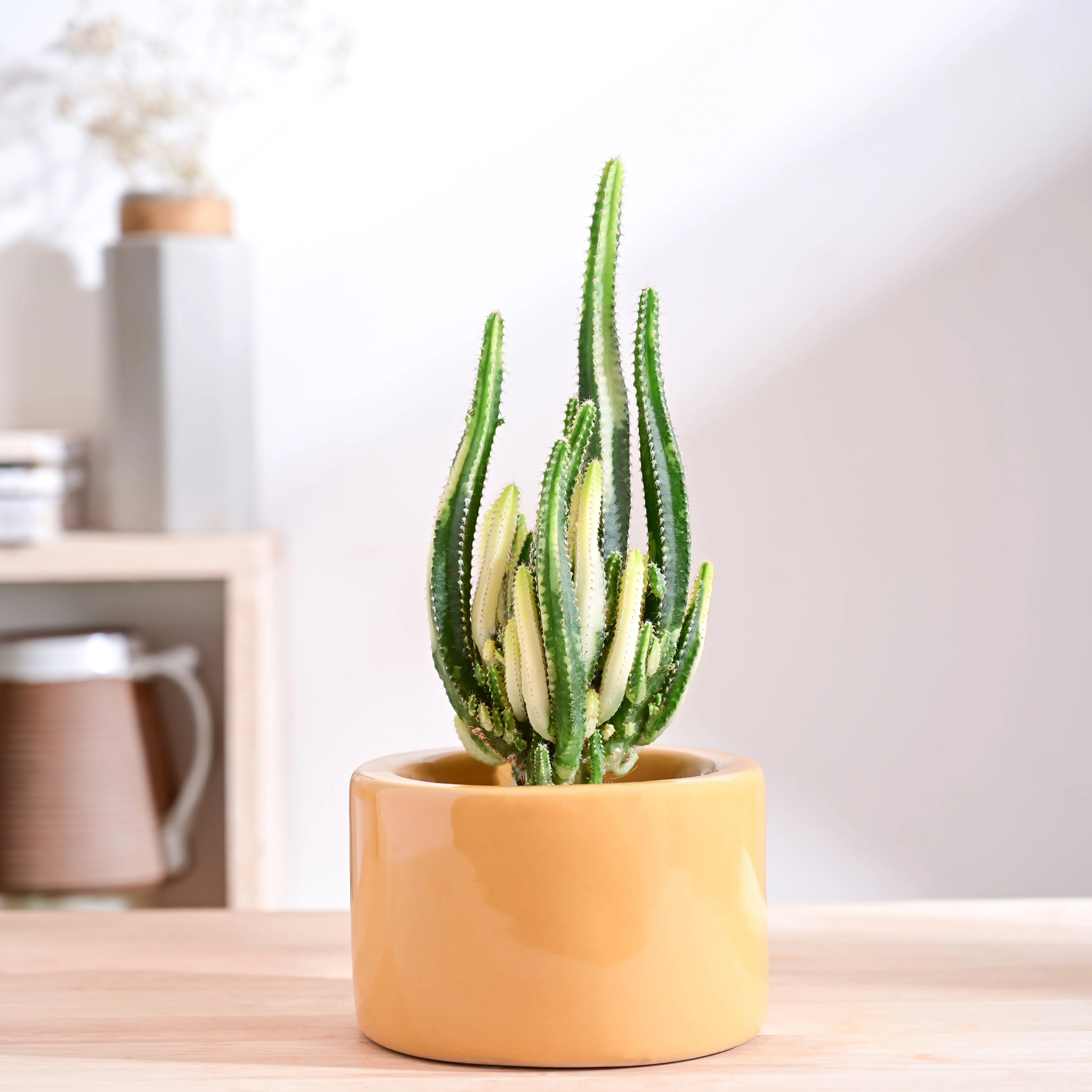Product image 57
