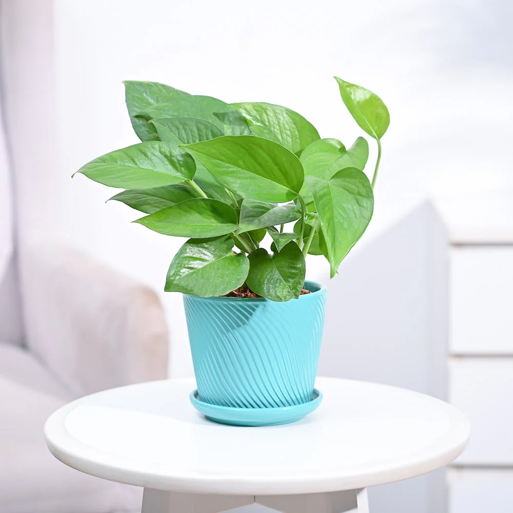 Product image 109