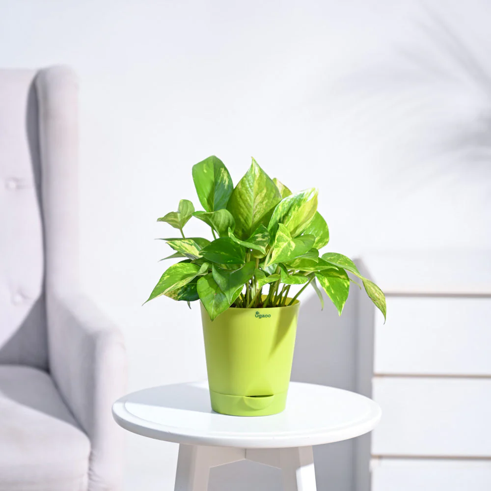 Product image 103