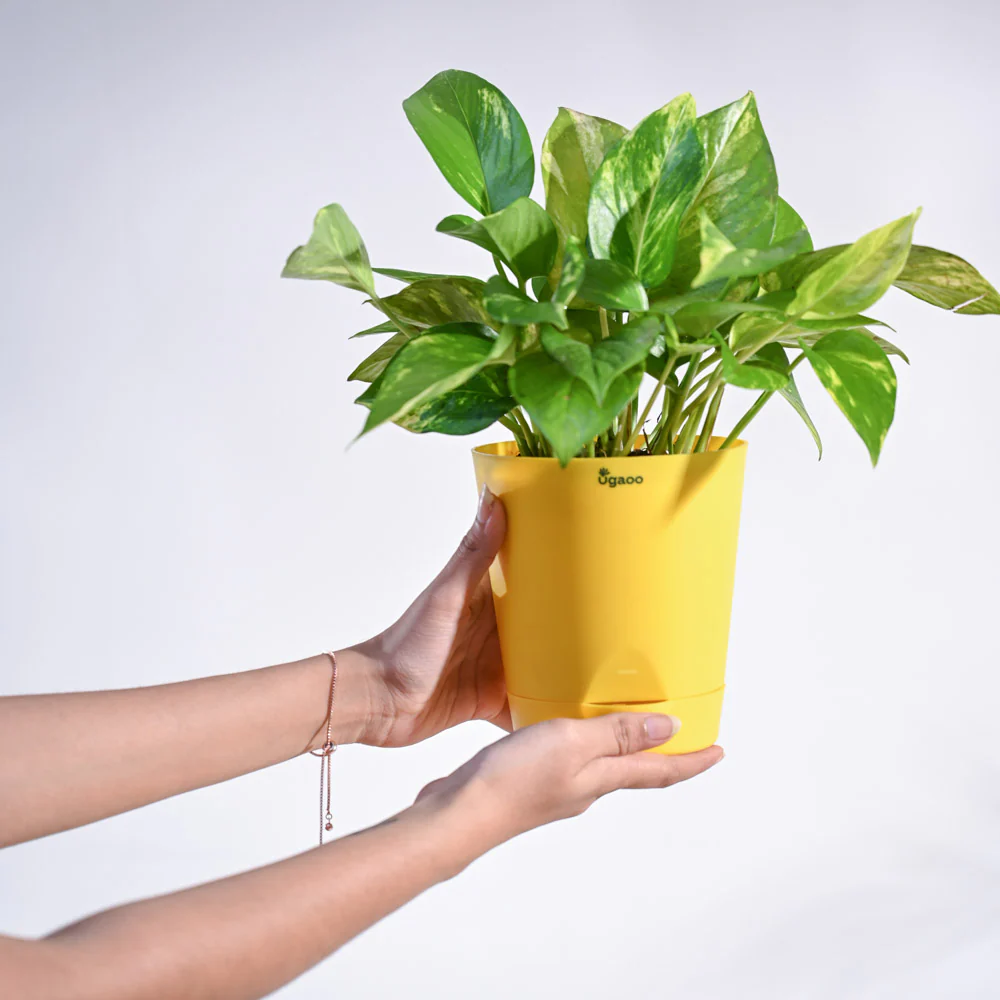 Product image 135