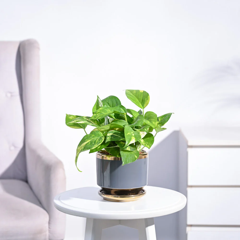 Product image 140