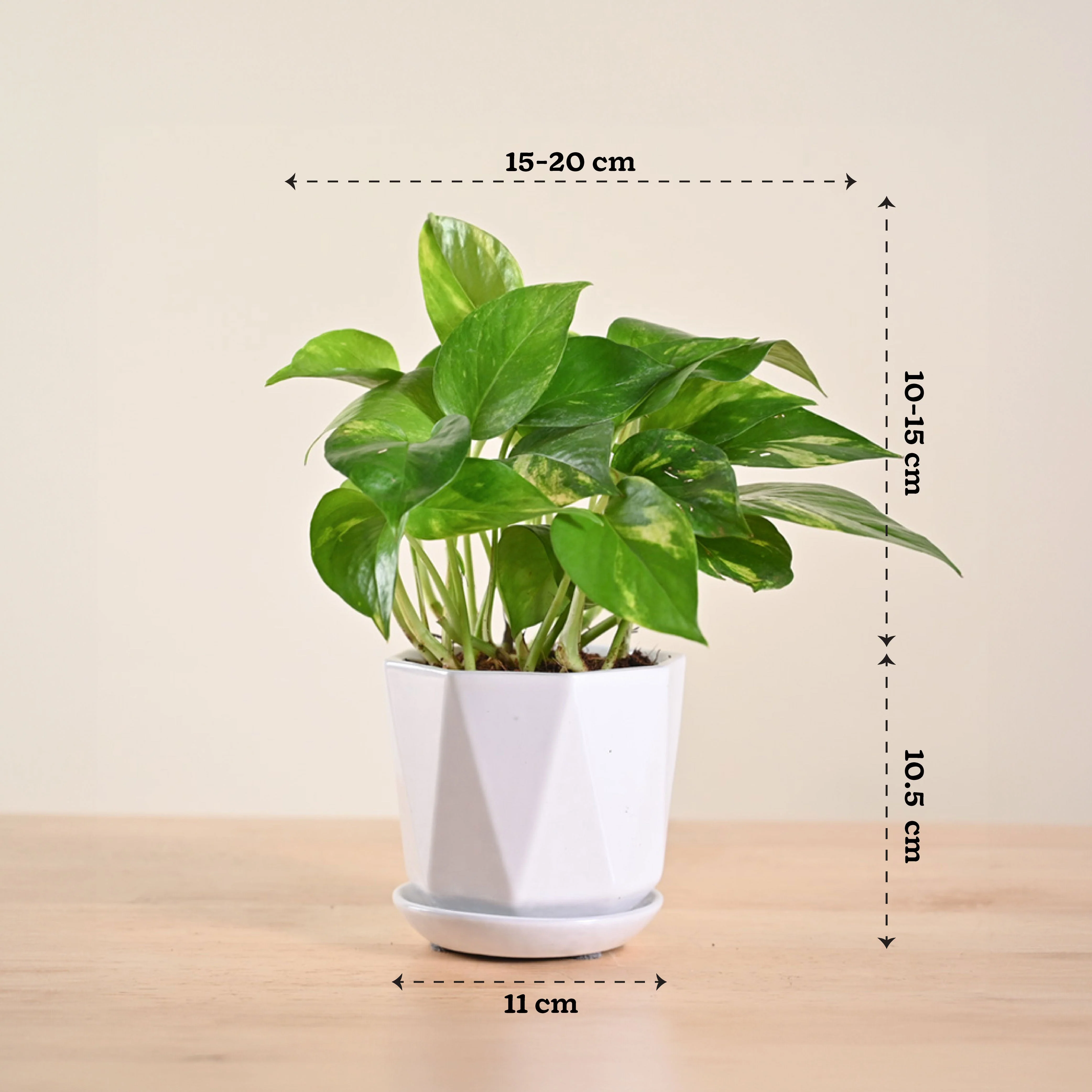 Product image 149
