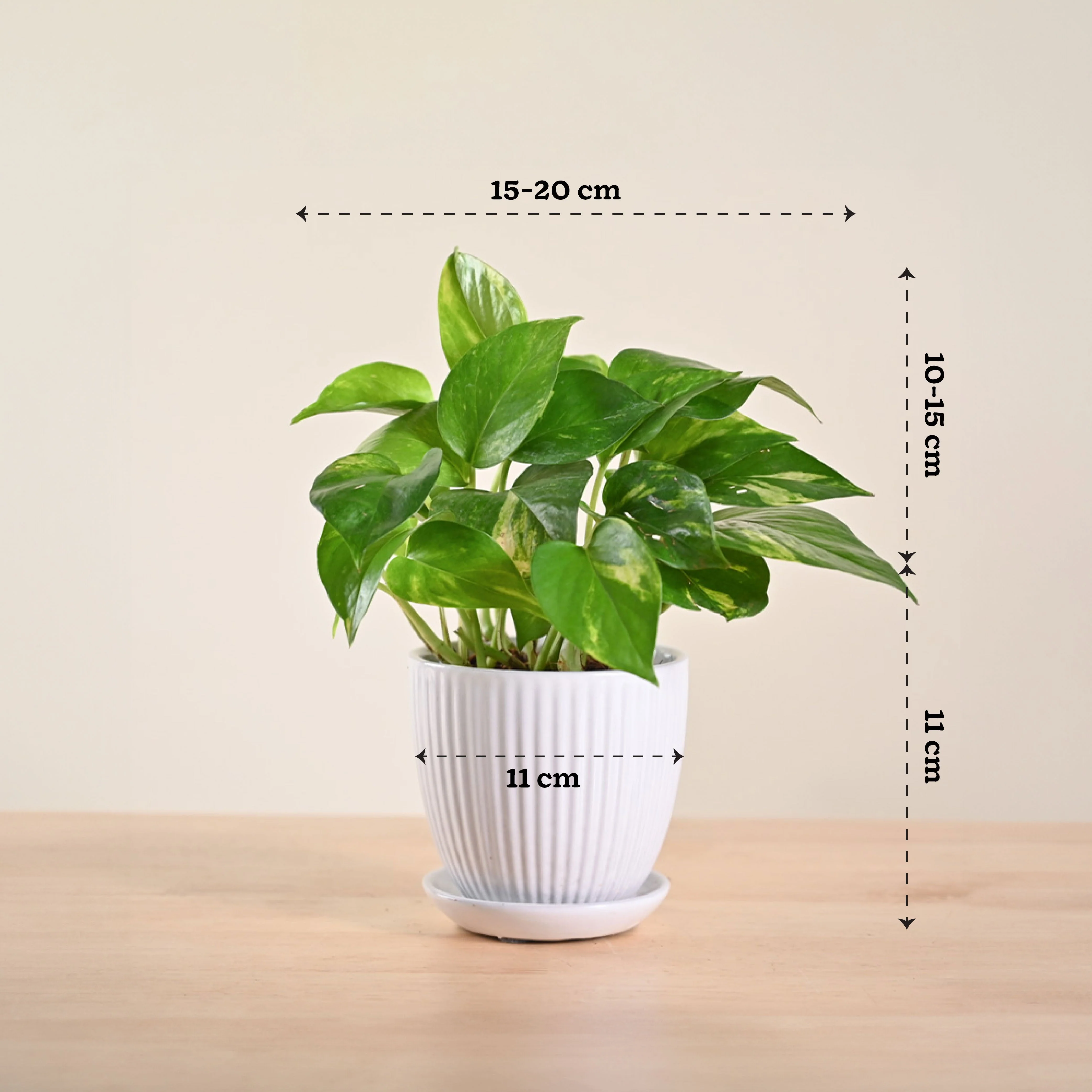 Product image 155