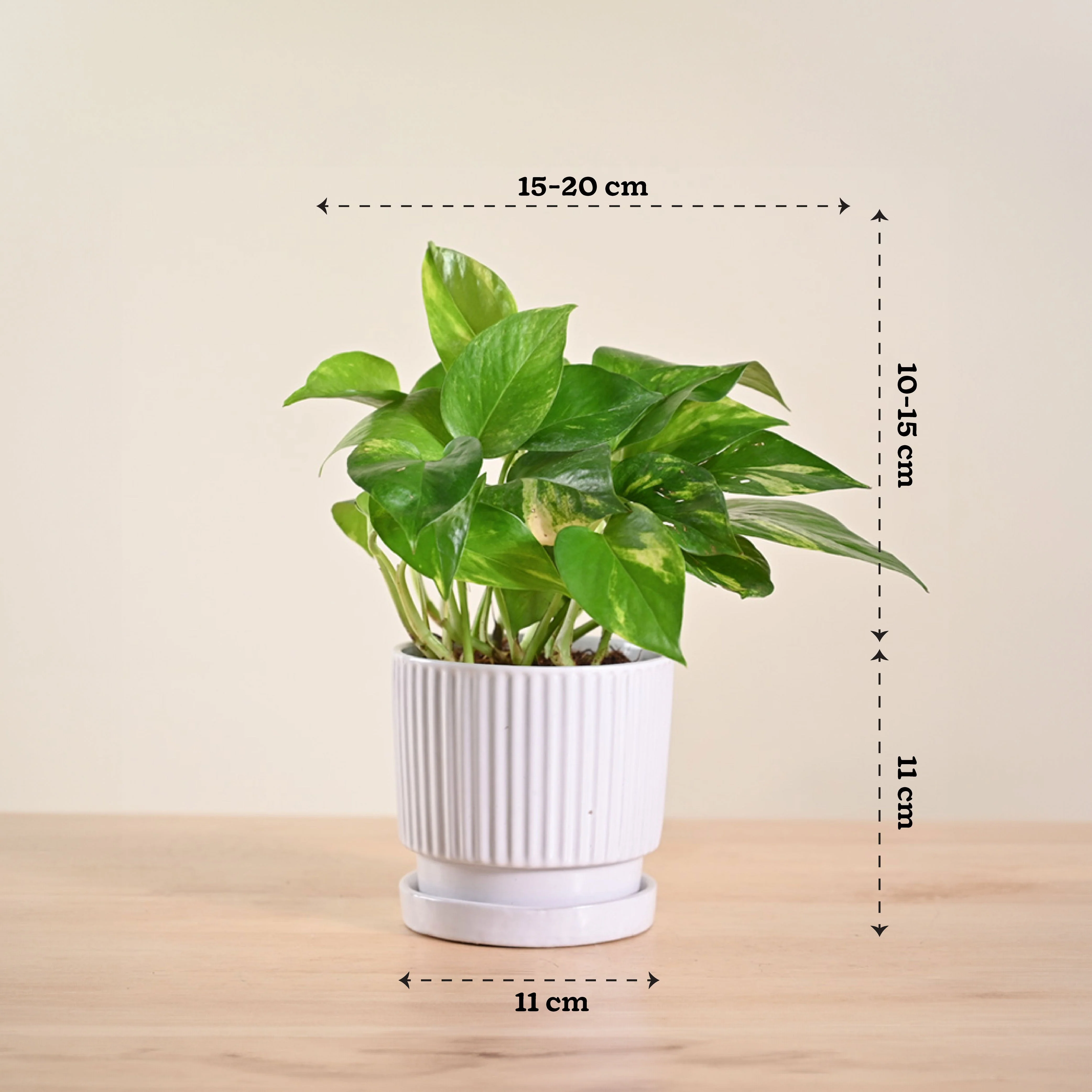 Product image 167