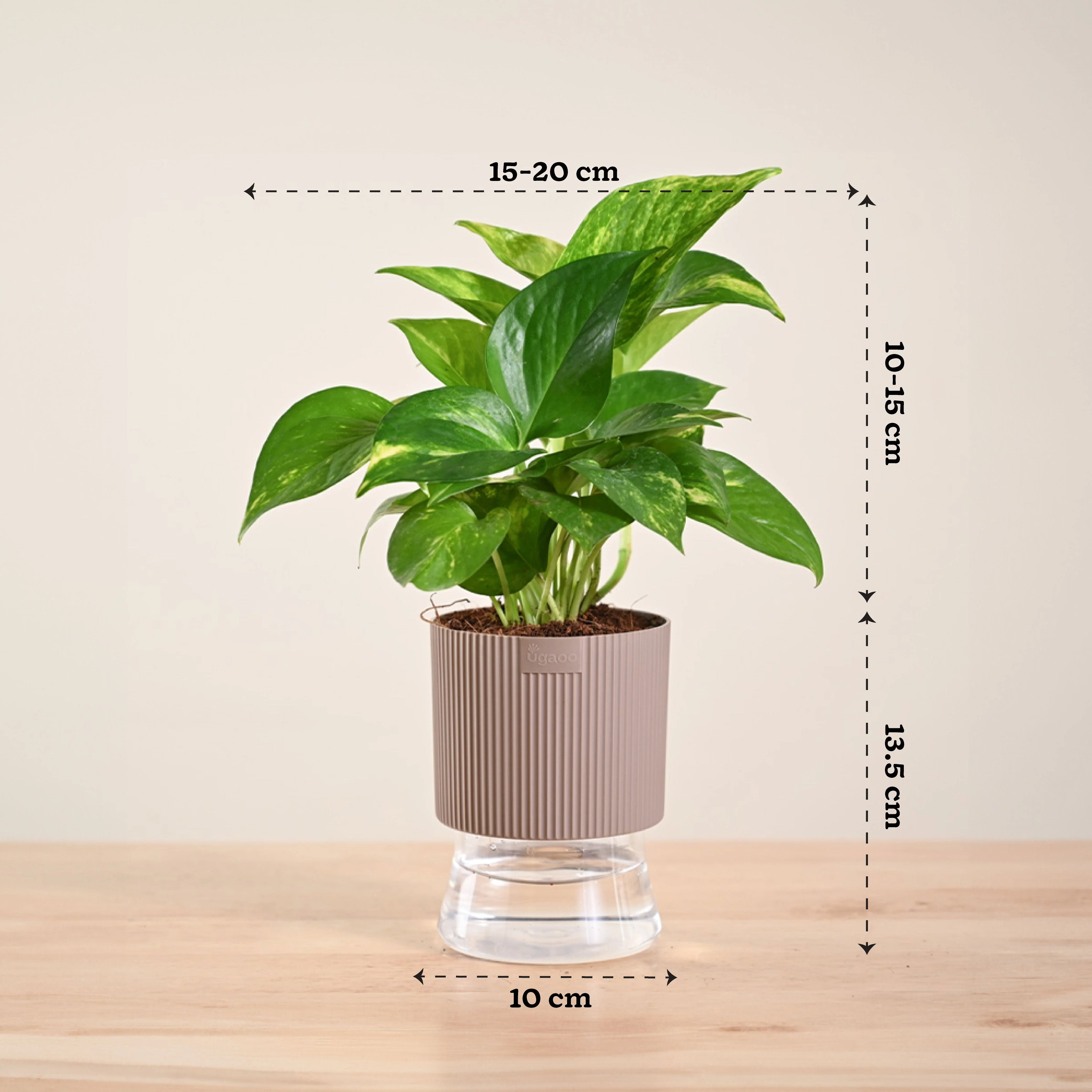 Product image 171