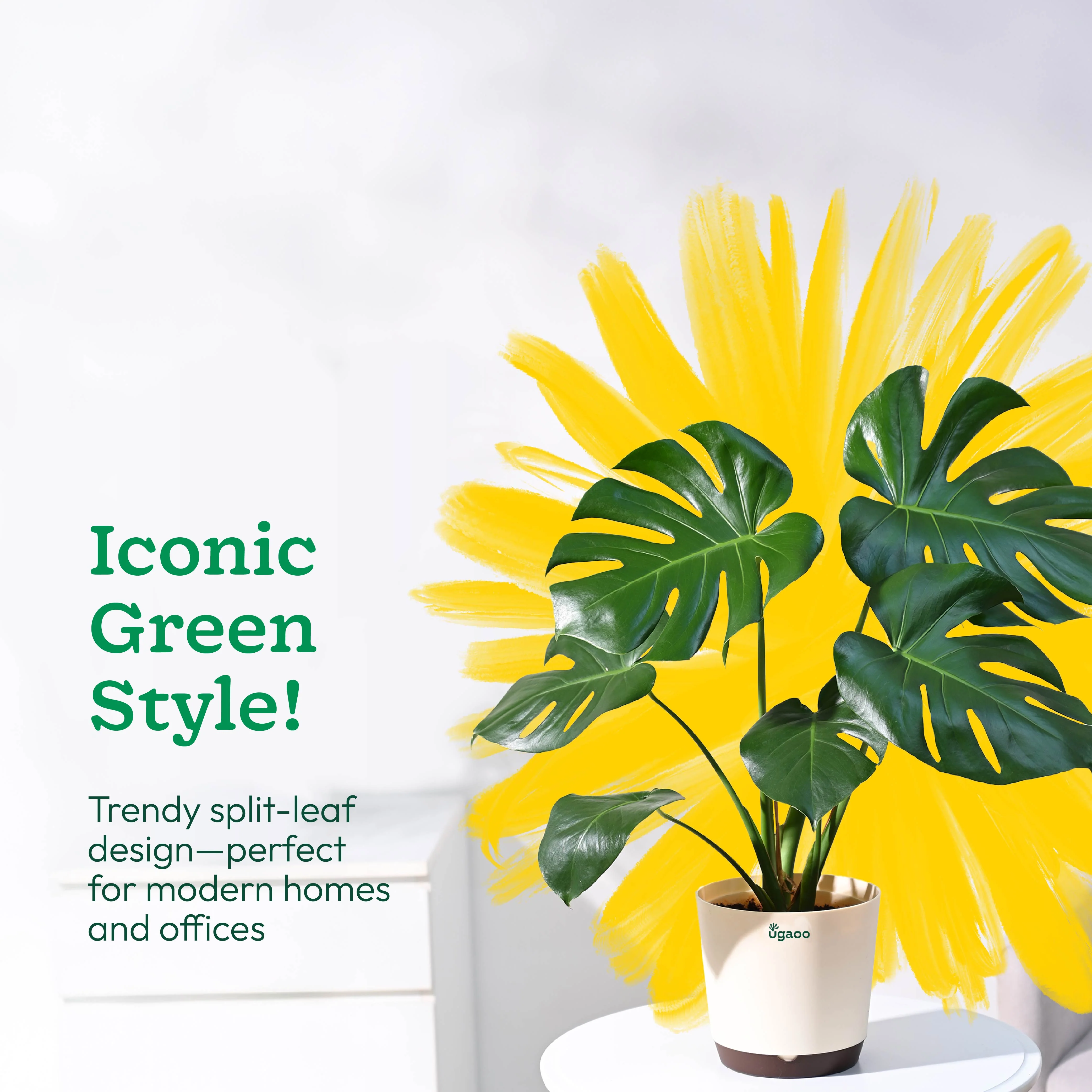 Product image 42