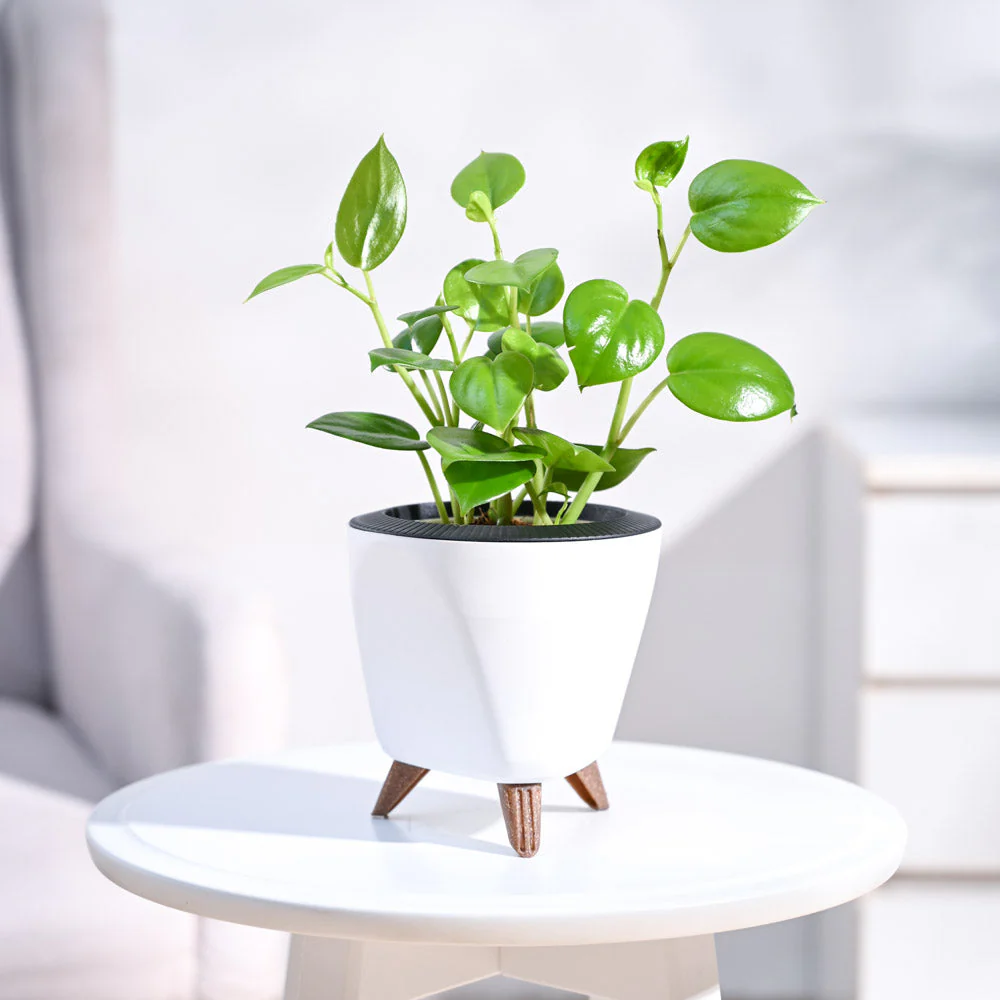 Product image 103