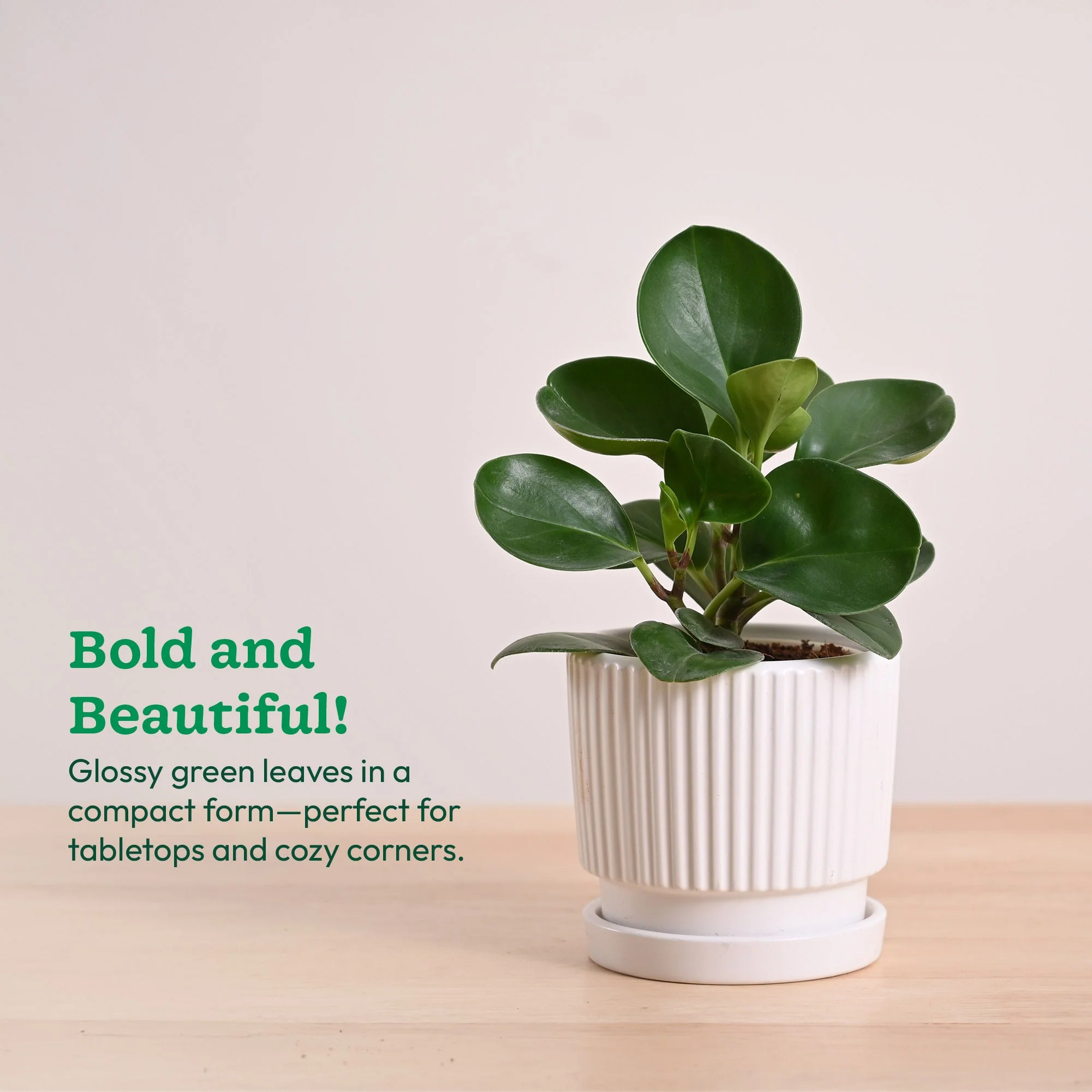Product image 105