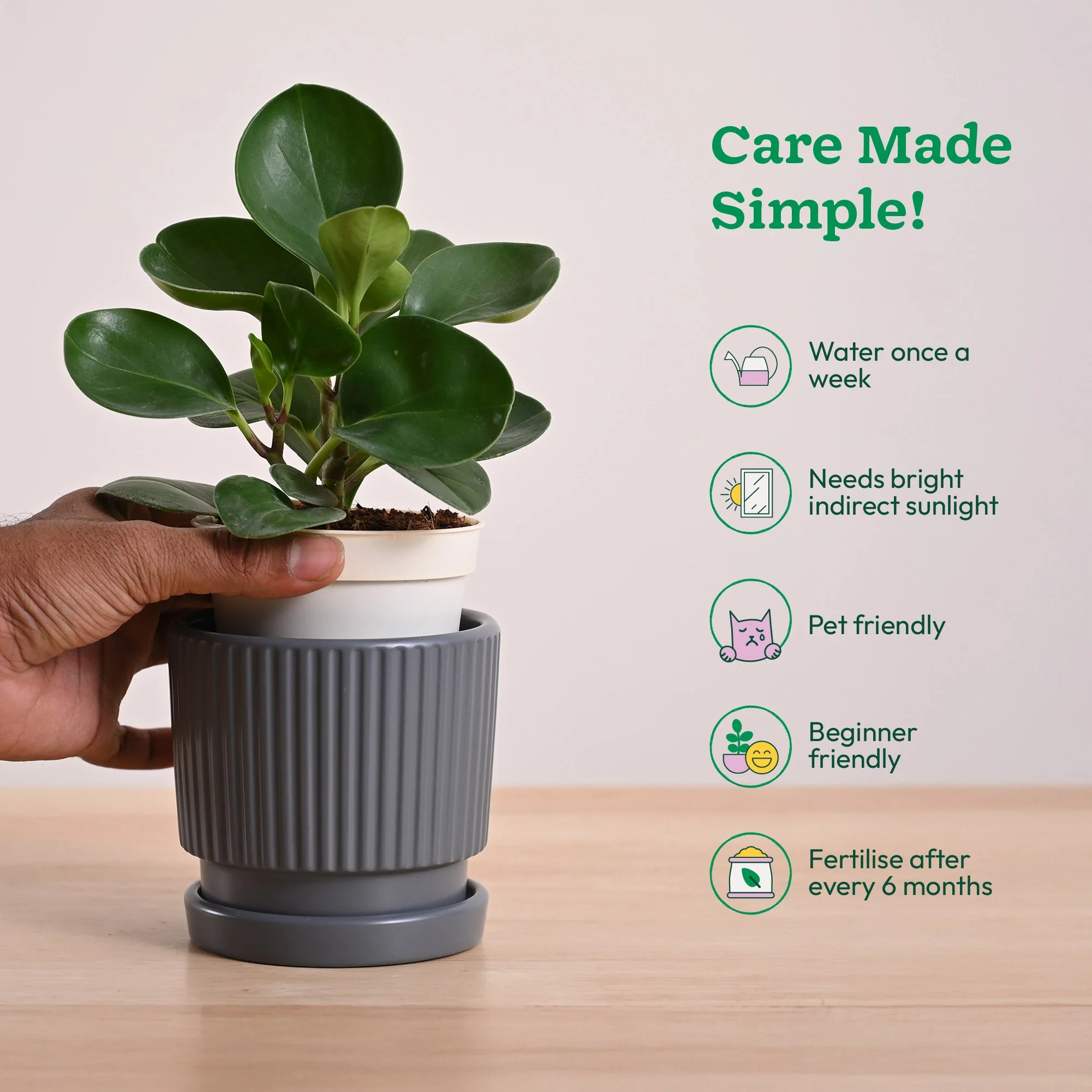 Product image 112