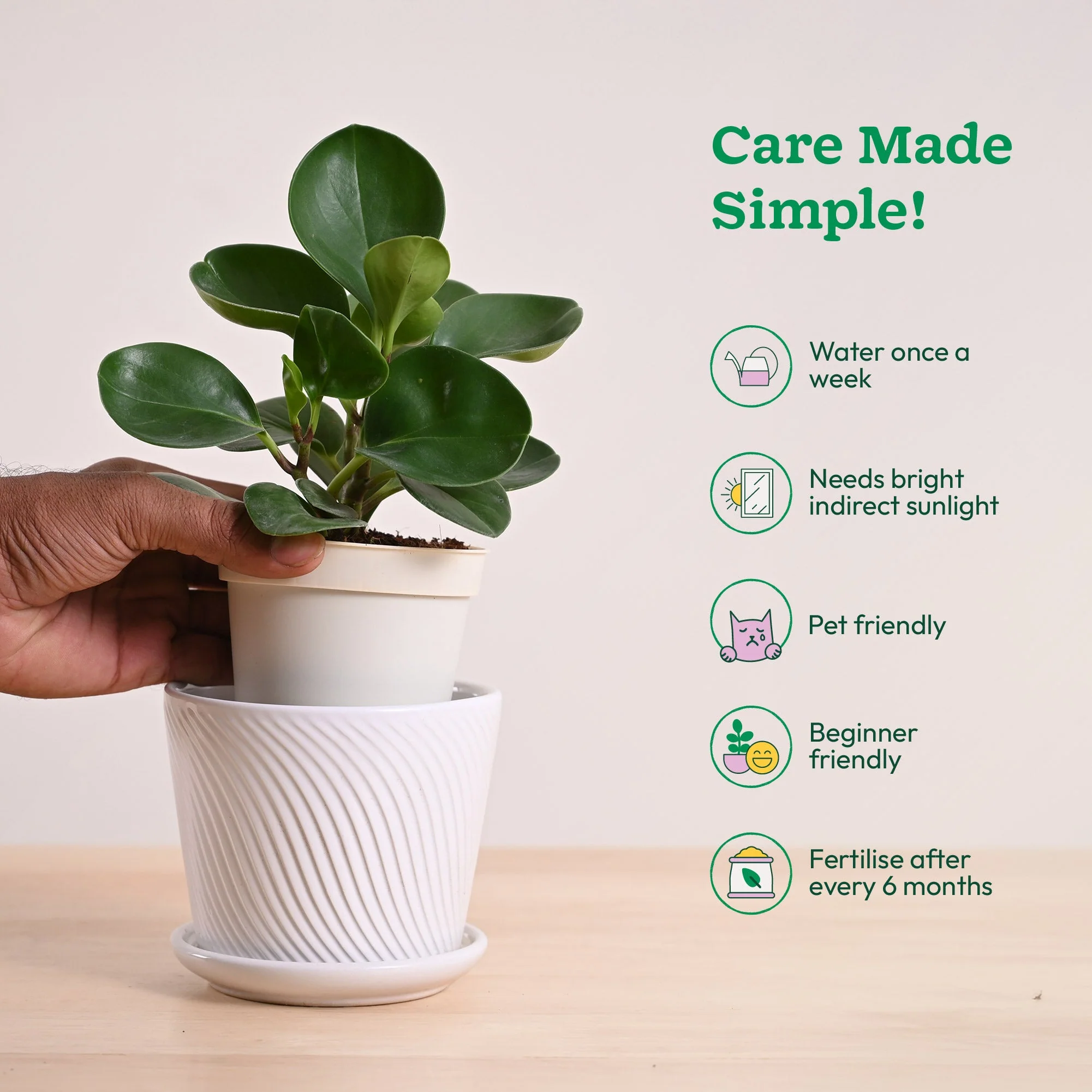 Product image 76