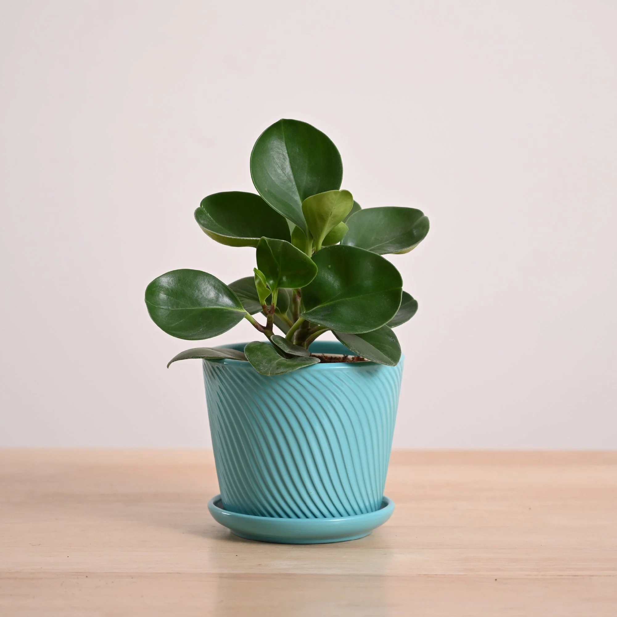 Product image 92