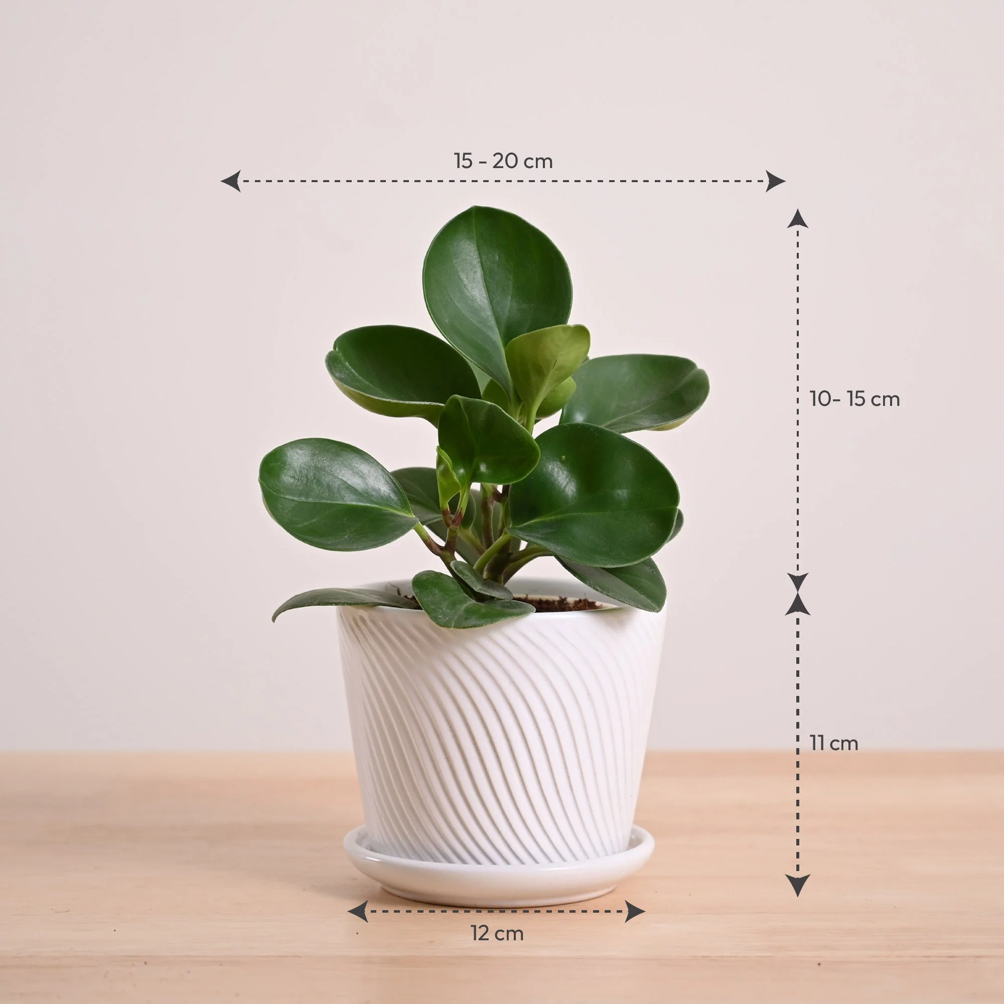 Product image 97