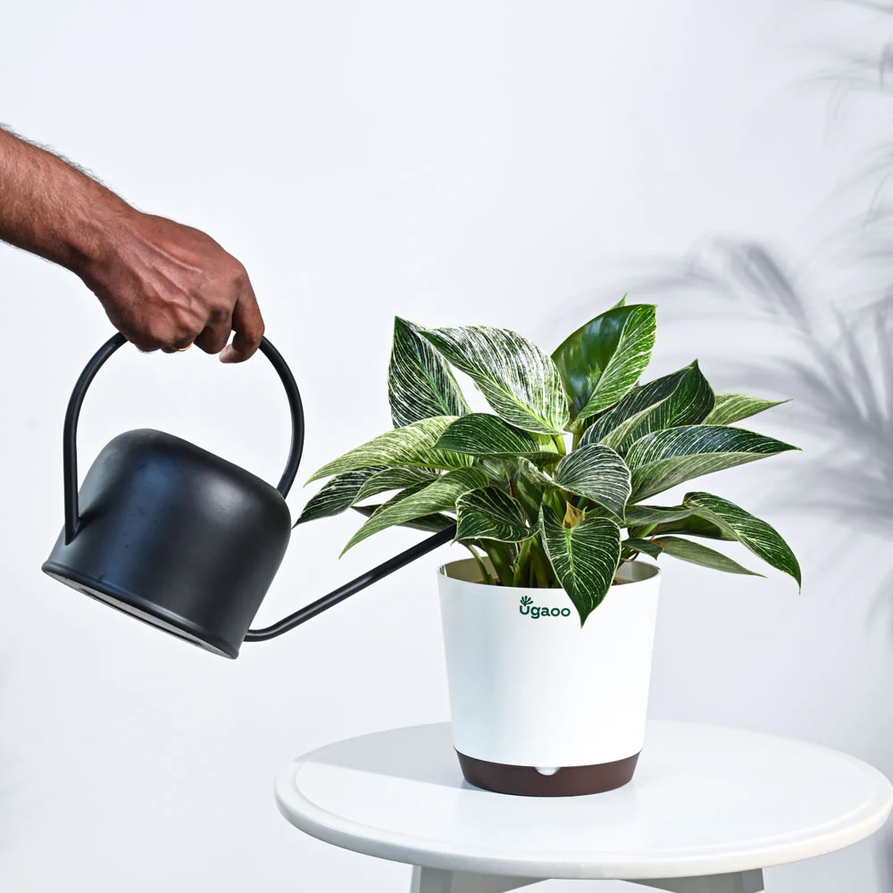 Product image 110