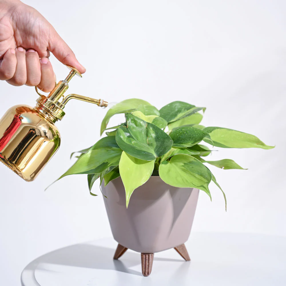 Product image 106