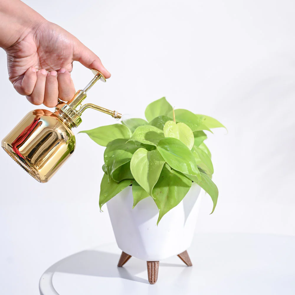Product image 77