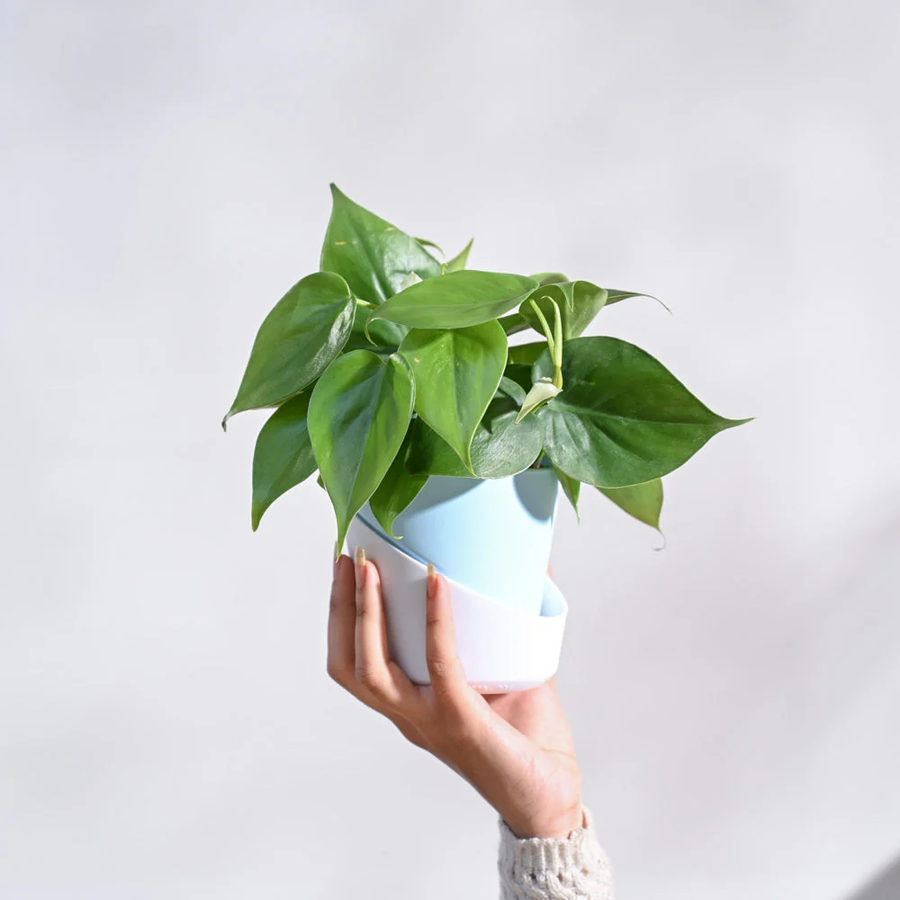 Product image 93