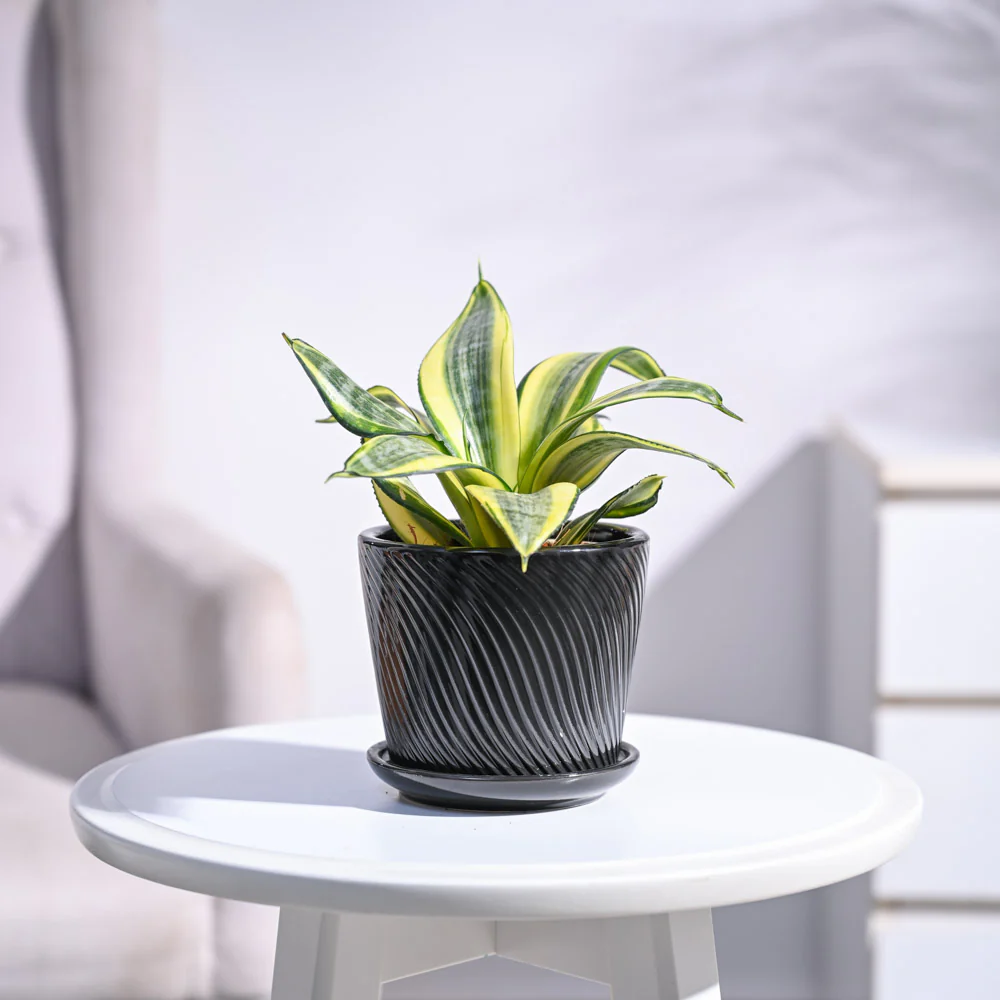 Product image 76
