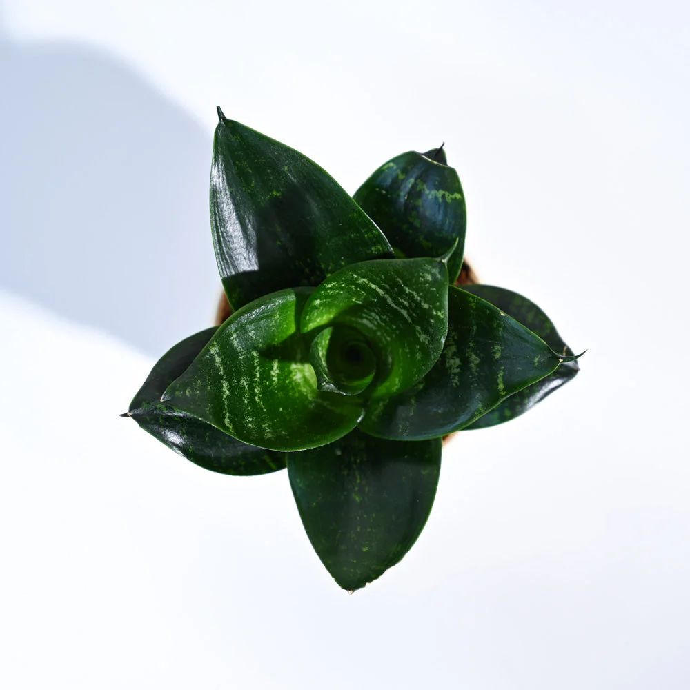 Product image 57