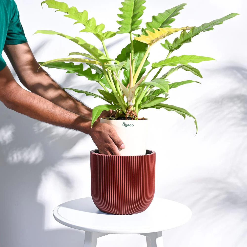 Product image 64
