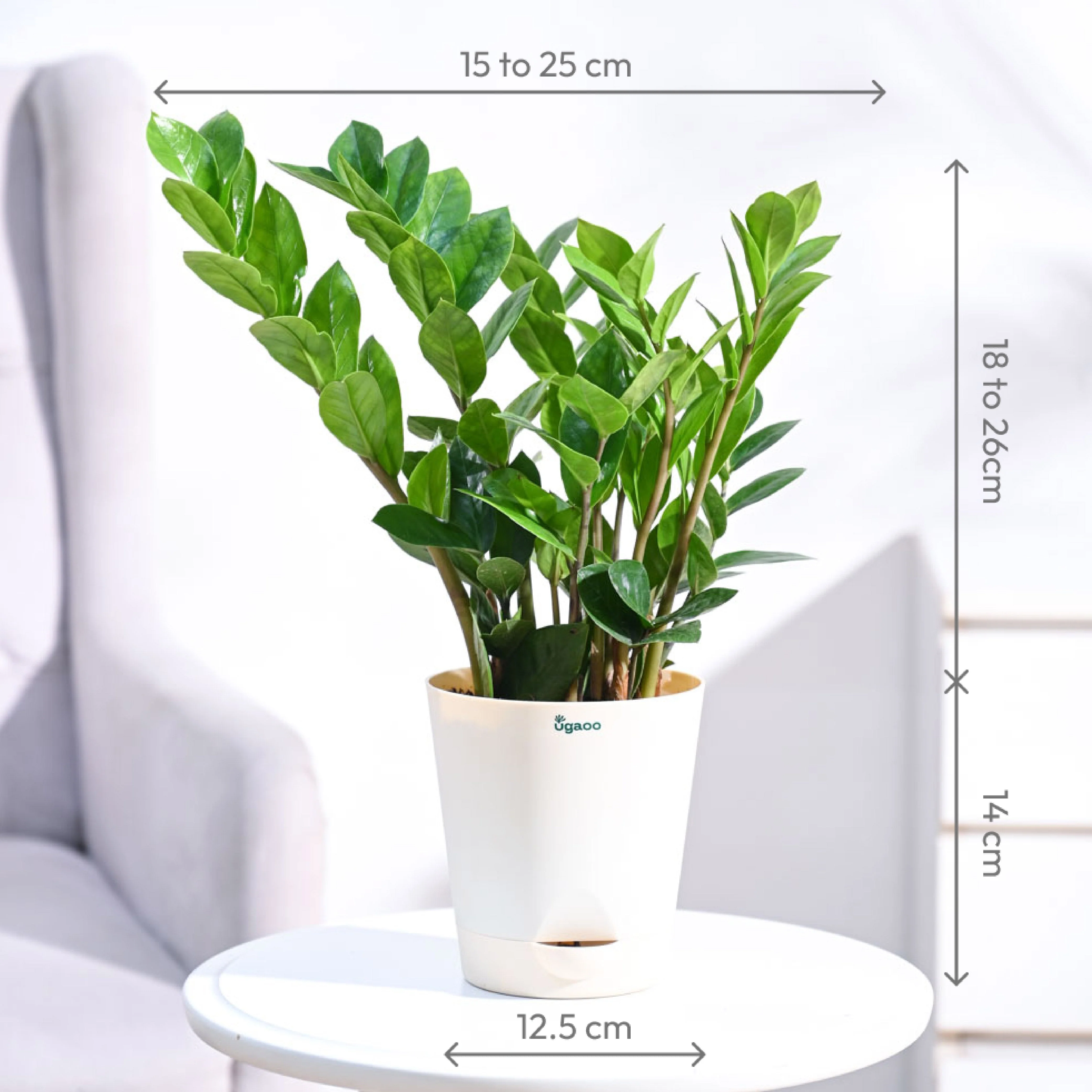 Product image 57